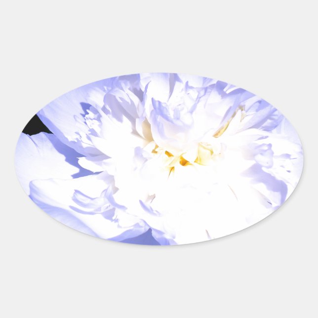 White and purple Peony photo Oval Sticker (Front)