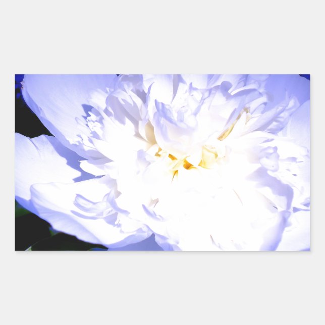 White and purple Peony photo Sticker (Front)