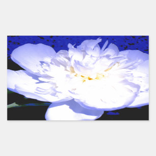 White and purple Peony photo Sticker