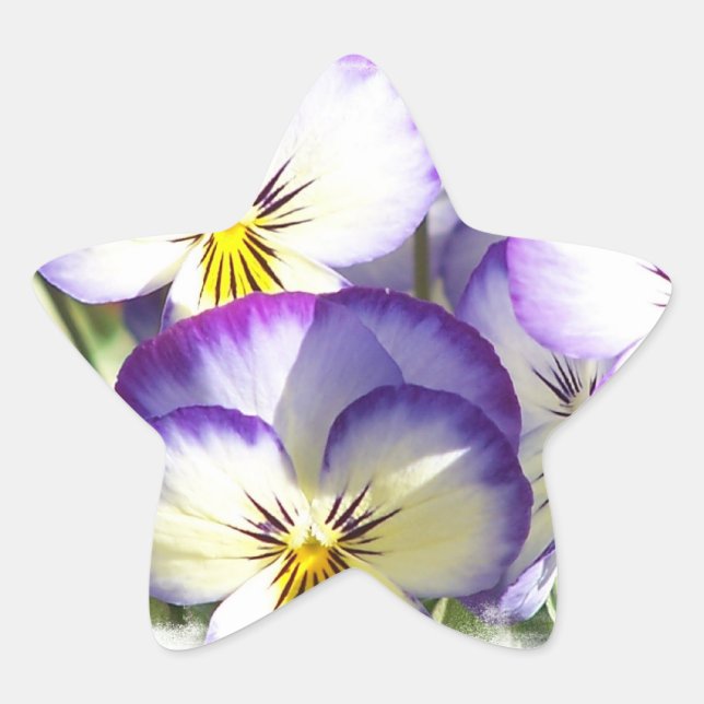 White and Purple Violas Stickers (Front)