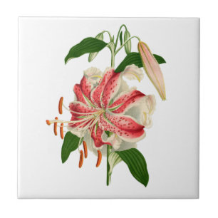 White and Red Tiger Lily with Buds N' Greenery Tile