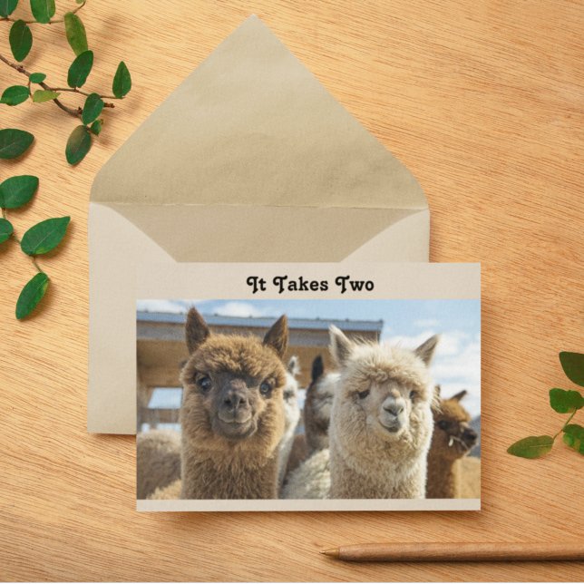 White and Reddish Brown Curly Haired Alpaca Couple Card (Creator Uploaded)
