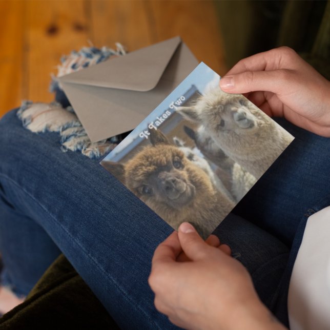 White and Reddish Brown Curly Haired Alpaca Couple Postcard (Creator Uploaded)