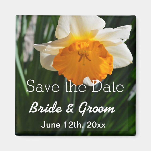 White and yellow daffodil flower save the date magnet (Front)