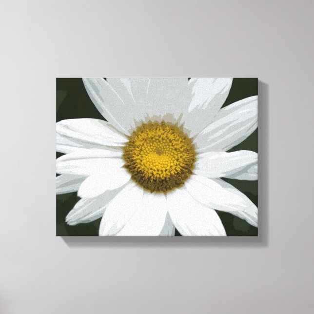 White and Yellow Daisy Flower Canvas Print (Front)