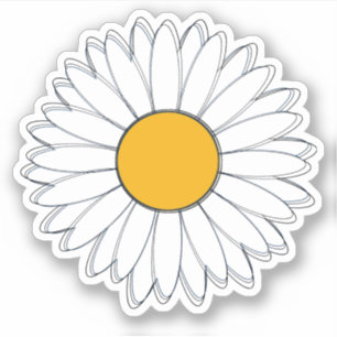 White and Yellow Daisy Graphic