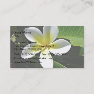 White and Yellow Frangipani blossom Business Card