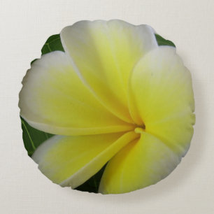 White And Yellow Frangipani Flower Round Pillow