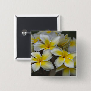 White and Yellow Plumeria Tropical Flower 2 Inch Square Button