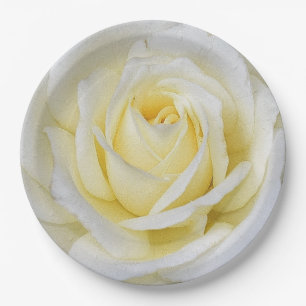 White and Yellow Rose Paper Plate