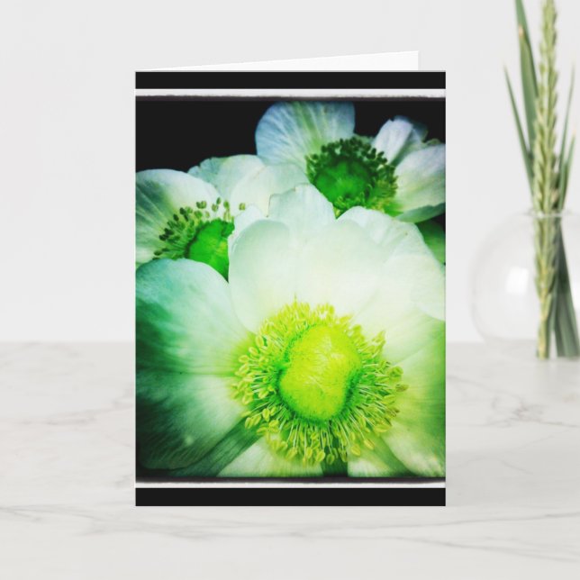 White Anemone Blank Greeting Card (Front)