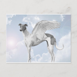 White Angel Greyhound Postcard