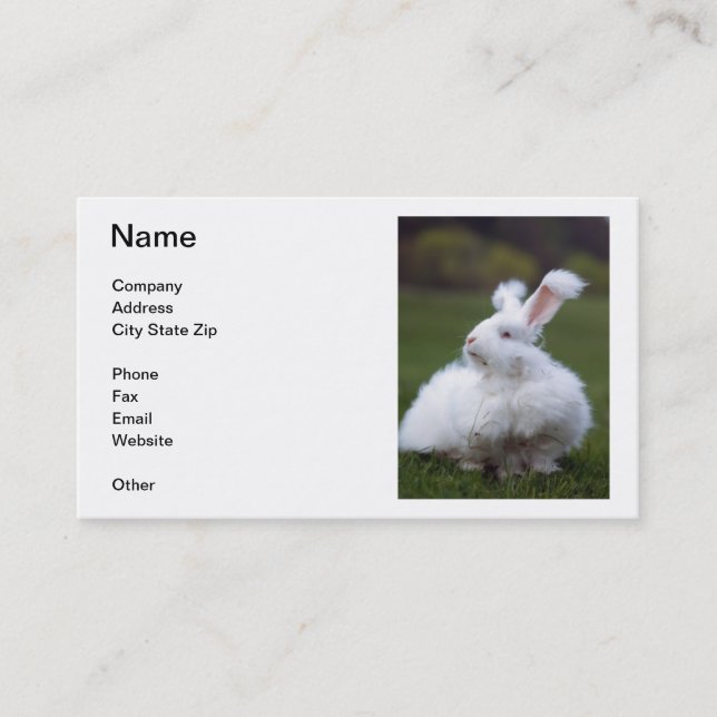 White Angora Rabbit Business Card (Front)