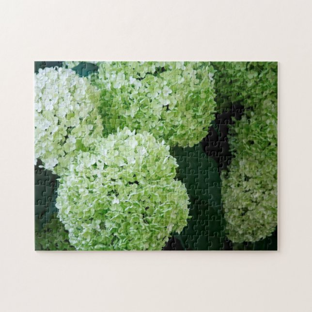 White Annabelle Hydrangeas Jigsaw Puzzle (Horizontal)
