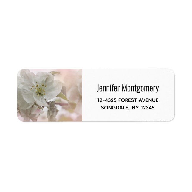  White Apple Blossom Photograph (Front)