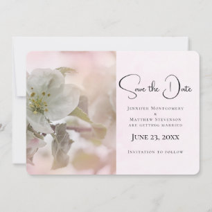 White Apple Blossom Photograph Save The Date