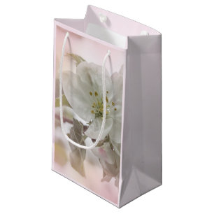  White Apple Blossom Photograph Small Gift Bag