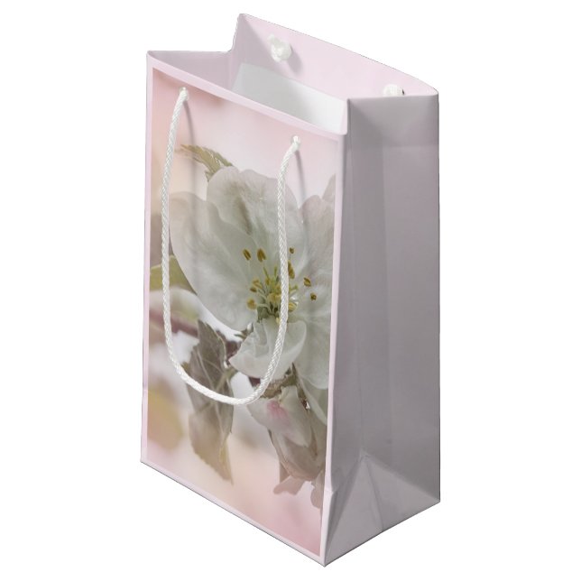  White Apple Blossom Photograph Small Gift Bag (Front Angled)