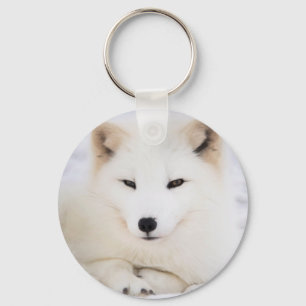 White arctic fox in snow keychain