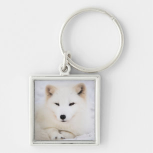 White arctic polar fox in snow keychain