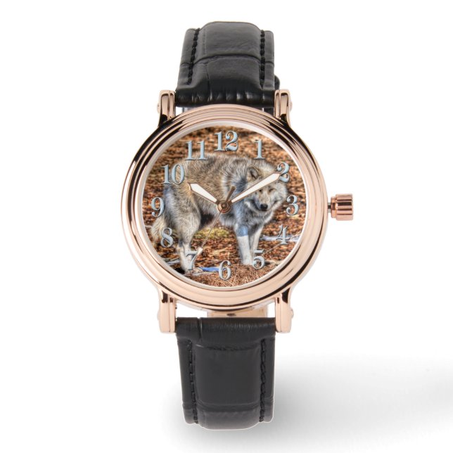 White Arctic Wolf and Forest Debris Wildlife Watch (Front)