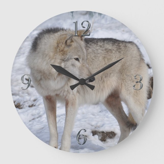 White Arctic Wolf and Snow Wildlife Art Clock (Front)