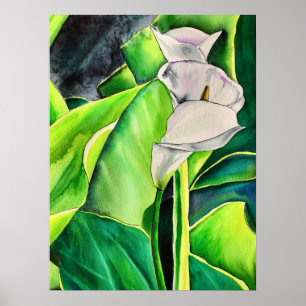 White Arum Lily watercolor tropical floral Poster