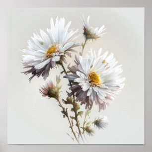 White Aster Flower Art Print Poster