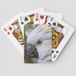White Australian Cockatoo Parrot, Playing Cards