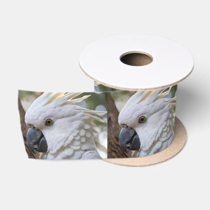 White Australian Cockatoo Parrot, Satin Ribbon
