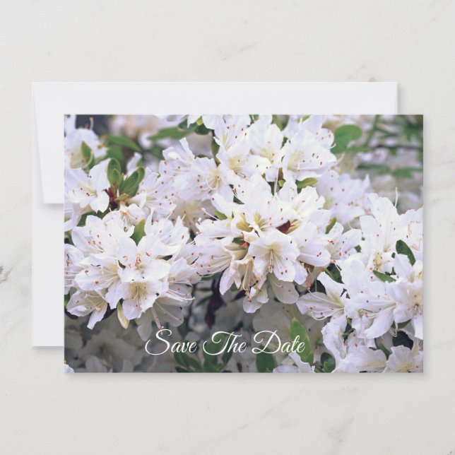 White Azalea Flat Enregistrer La Carte Date (Devant)