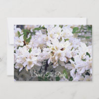 White Azalea Flat Save The Date Card