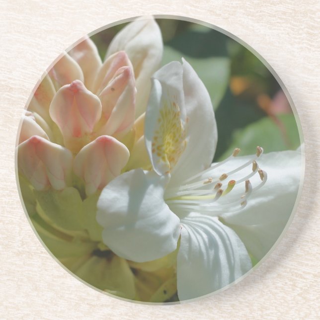 White Azalea Floral Drink Coaster (Front)