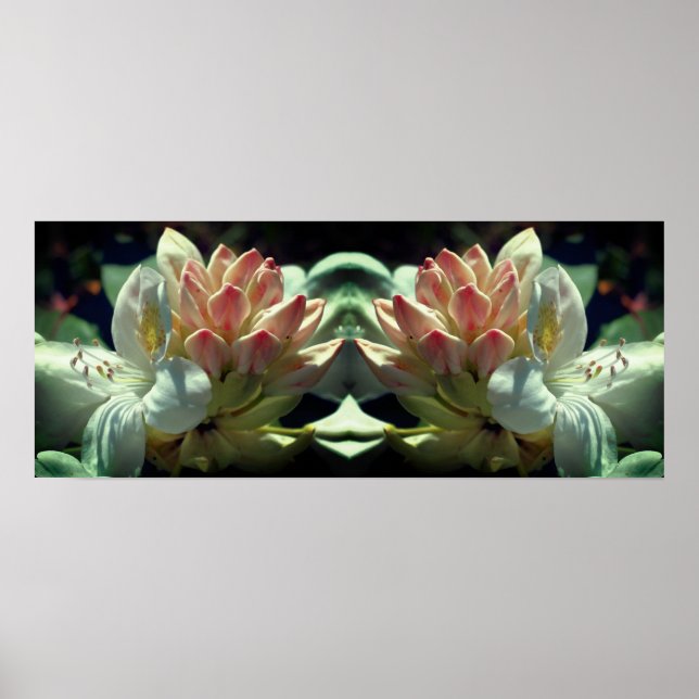 White Azalea Flower And Bud Mirror Abstract Poster (Front)