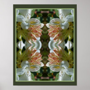 White Azalea Flower Blossom And Bud Abstract  Poster