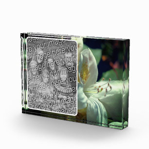 White Azalea Flower Create Your Own Photo Block