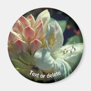 White Azalea Flower Personalized Magnet