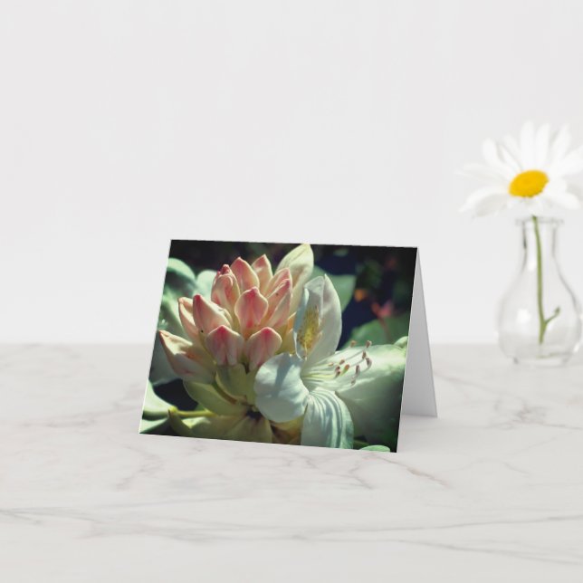 White Azalea Flower Personalized Note Card (Small Plant)
