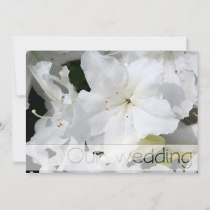 White Azalea Wedding Save the Date  Personalize it Invitation