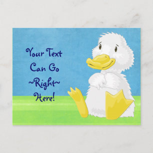 White Baby Duckling Postcard