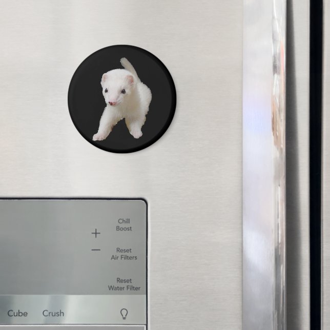 White Baby Ferret Magnet (In Situ (Fridge))