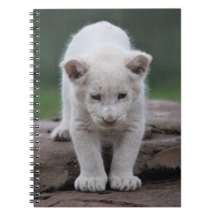 White baby lion cub notebook