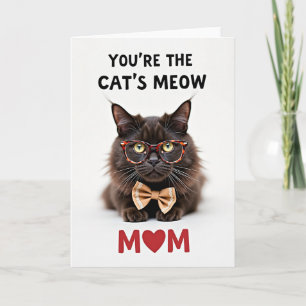 White Backdrop Cat Card