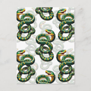 White Background Snake Pattern Design Postcard