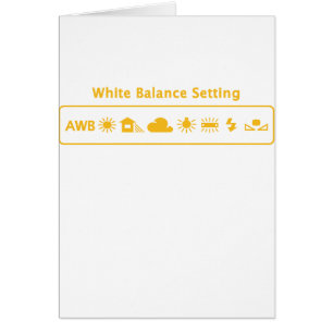 White Balance