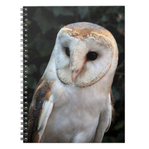 White Barn Owl Notebook