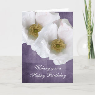 White Beach Rose Birthday Card
