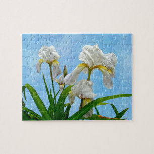 White Bearded Iris Blossoms Jigsaw Puzzle