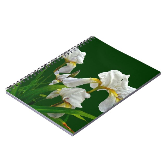 White Bearded Iris Blossoms Notebook (Left Side)