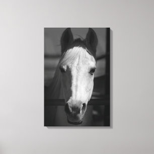 WHITE BEAUTY 16x24 Canvas Print